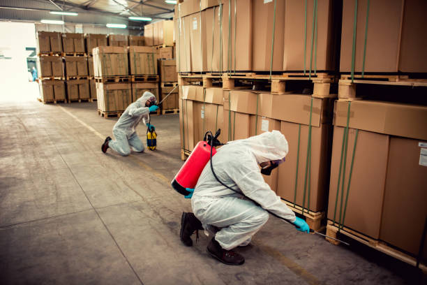 Best Pest Control Treatment  in Helper, UT