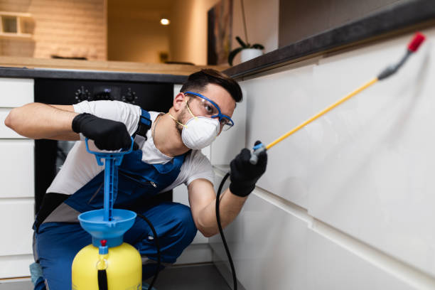Best Affordable Pest Control Services  in Helper, UT