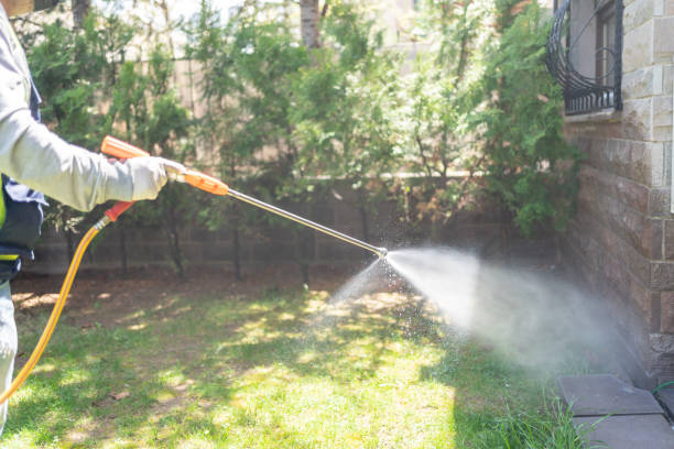 Best Bed Bug Extermination  in Helper, UT