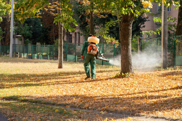 Best Pest Control for Homes  in Helper, UT